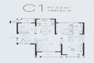 C1户型133M²