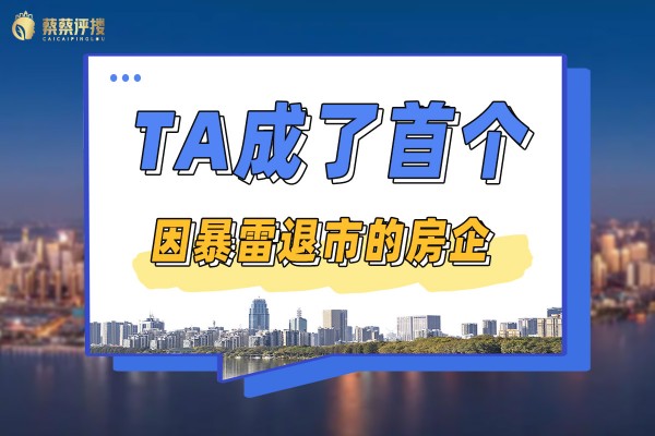 TA成了首个因暴雷退市的房企