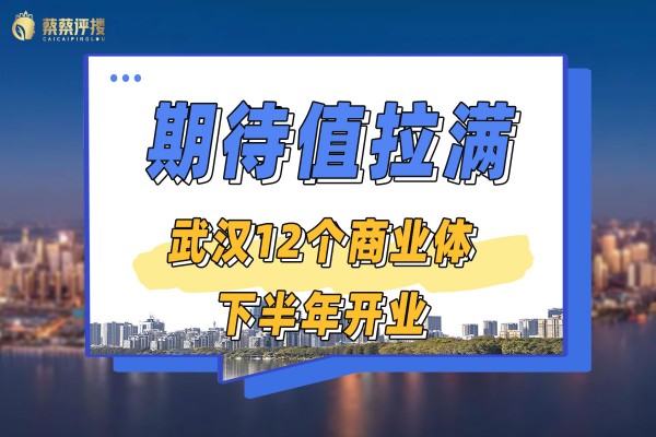 期待值拉满！武汉12个商业体下半年开业