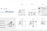 A户型-189-202㎡