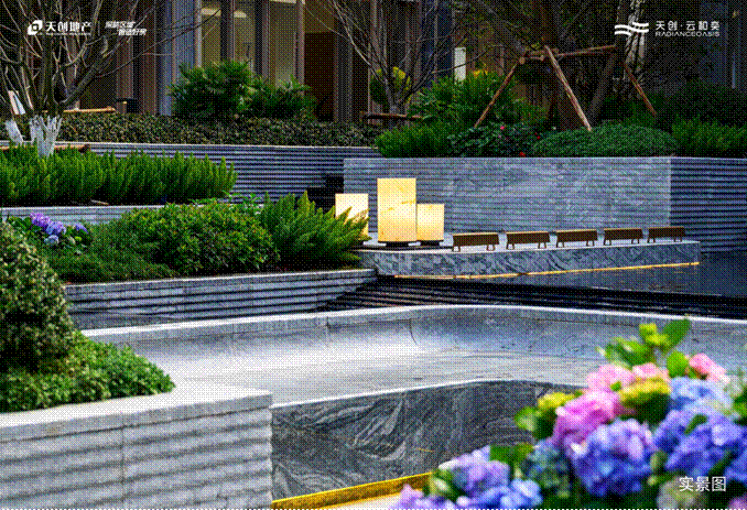 image006.gif